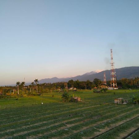 Villa Bintang Lovina Εξωτερικό φωτογραφία