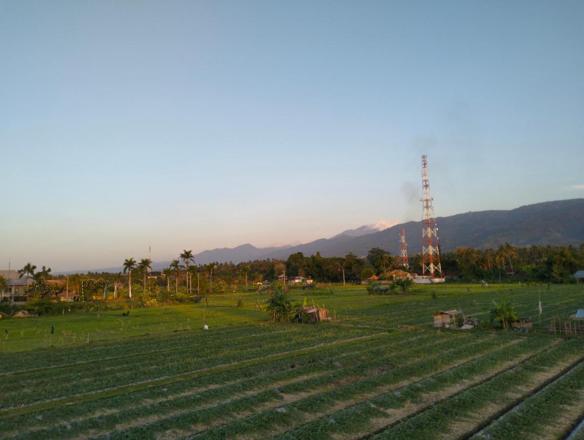 Villa Bintang Lovina Εξωτερικό φωτογραφία